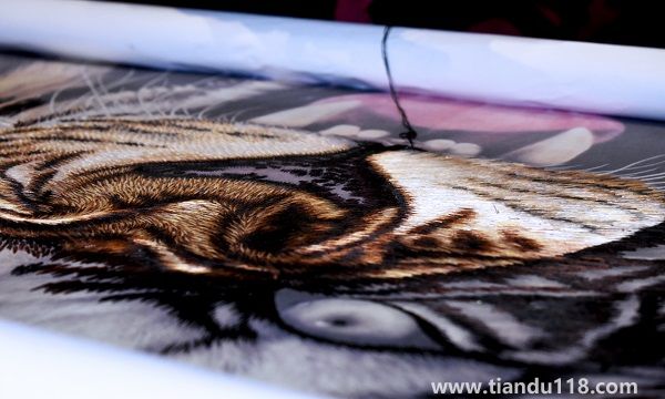 湖南省長沙市十大特產(chǎn)有哪些