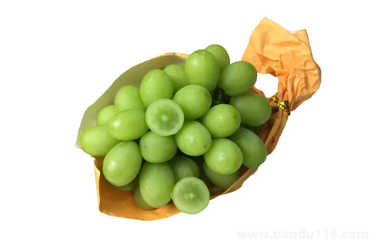 陽(yáng)光玫瑰葡萄和晴王葡萄哪個(gè)價(jià)格貴2