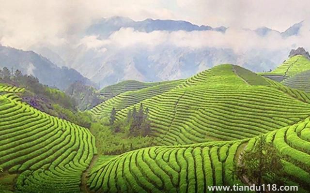 句容有哪些特產(chǎn)（句容特產(chǎn)排行榜）(圖2)