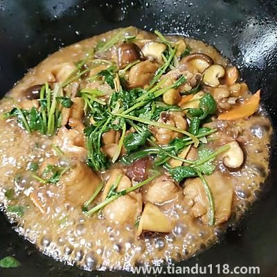 三杯雞的做法（三杯雞怎么做）(圖11)