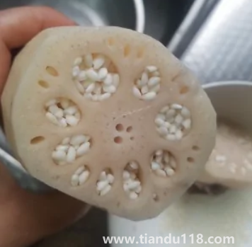 糯米藕為何煮不爛4