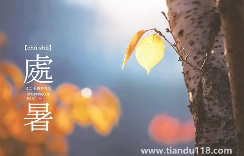 2022處暑之后天氣會(huì)涼快一些嗎1