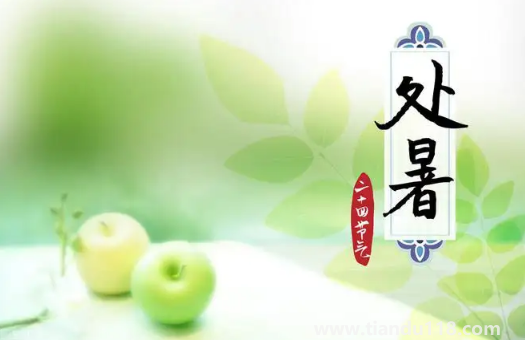 2022年處暑的具體時間是幾點(diǎn)(處暑吃什么)(圖2) 2022年處暑是幾月幾號幾點(diǎn)幾分幾秒鐘2