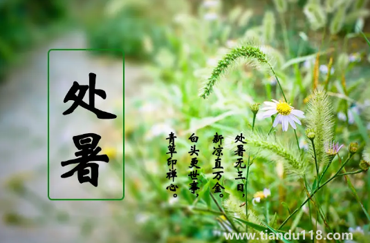 2022年處暑的具體時間是幾點(diǎn)(處暑吃什么)(圖3) 2022年處暑是幾月幾號幾點(diǎn)幾分幾秒鐘3