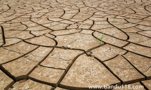 2022年為什么干旱地區(qū)多(干旱有什么危害)(圖3) 2022年為什么干旱地區(qū)多3