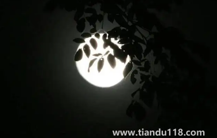 2022河南中秋節(jié)高速公路免費(fèi)嗎2