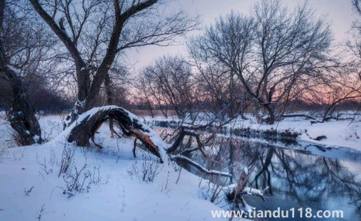 2022年一九是哪天幾月幾號(hào)星期幾3