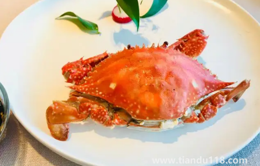 梭子蟹沒熟吃了怎么辦2