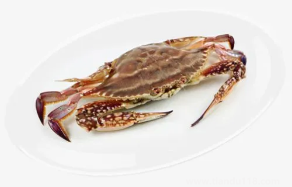 梭子蟹大的肉多還是小的肉多2