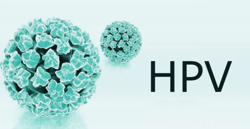 支付寶九價(jià)疫苗預(yù)約要多久3