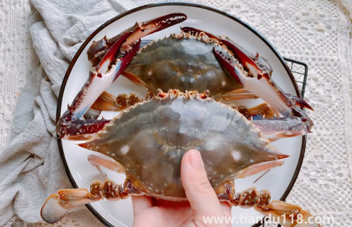 梭子蟹可以寄順豐快遞嗎（怎么看梭子蟹是否死亡）