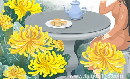 今年重陽(yáng)節(jié)去哪方向登高好2