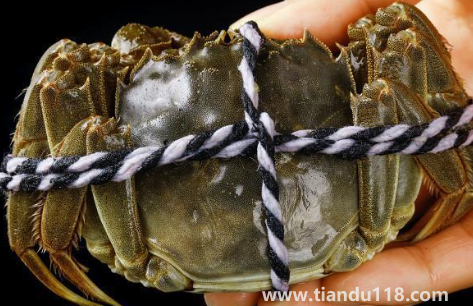 過水蟹到底是啥（過水蟹能吃嗎）