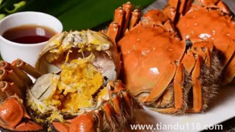 2022陽(yáng)澄湖大閘蟹十月份才上市嗎3