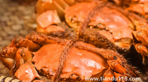 2022陽澄湖大閘蟹中秋節(jié)能吃到嗎3