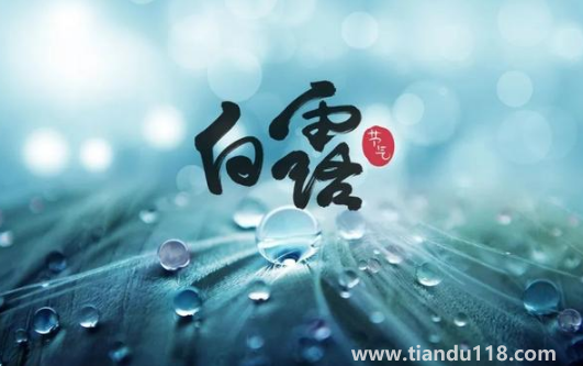 2022白露當天出生好還是白露后出生好3