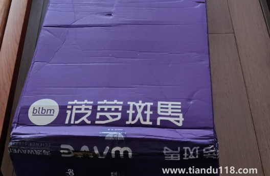 藍盒子和菠蘿斑馬哪個好2