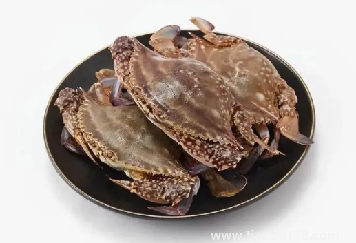 梭子蟹二母蟹是什么意思（梭子蟹什么時(shí)候吃最好）