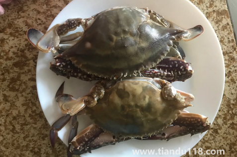 梭子蟹蟹黃在外面正常嗎3