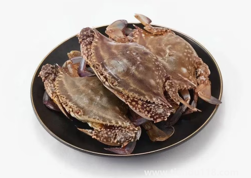 網(wǎng)上買(mǎi)梭子蟹是活的還是死的2