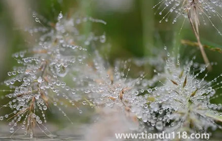 2022年寒露可以搬家嗎2