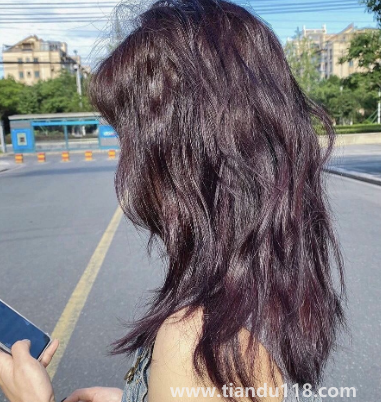 黑紫色和黑加侖紫是一個顏色嗎2