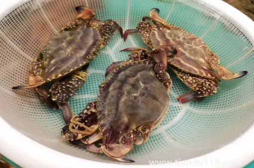 梭子蟹殺好了放冰箱明天燒可以嗎2