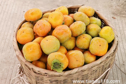 脆柿子里面有黑斑可以吃嗎（脆柿子怎么看壞沒壞）