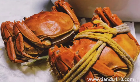 清水煮螃蟹煮5分鐘能吃嗎3