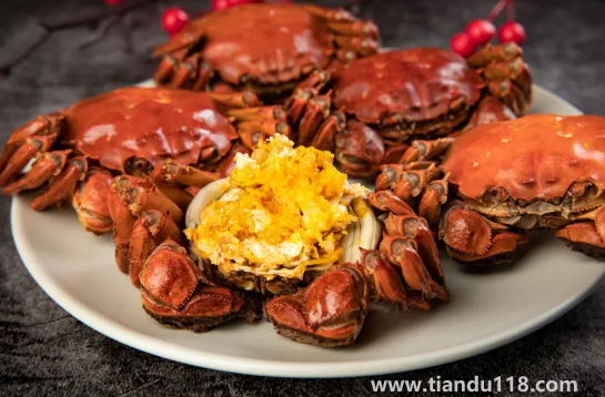 梭子蟹和大閘蟹哪個寒氣更重3