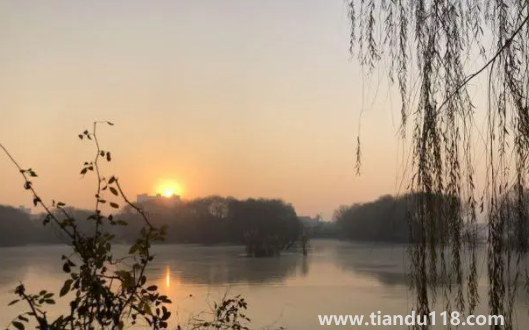 2023年兔年破月是幾月（幾月份屬兔人運(yùn)勢(shì)發(fā)展最好）