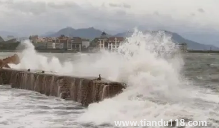 2022年臺風(fēng)梅花什么時候登錄山東1