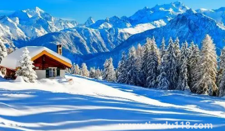 2022上海幾月份進入冬季2