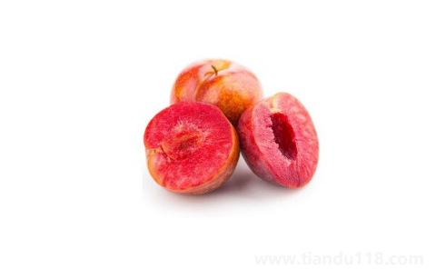 三華李的功效與作用2