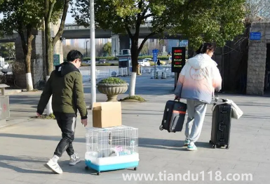 2023年春節(jié)假期會(huì)延長(zhǎng)嗎1