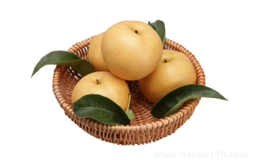 秋月梨變得綿軟還能吃嗎3