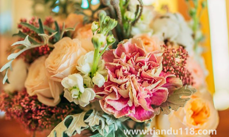 結婚不過百天不能送親2