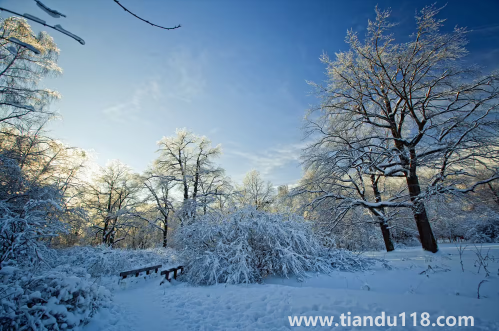 今年冬天會(huì)不會(huì)很冷2022-2023（冬天天氣冷吃什么好）