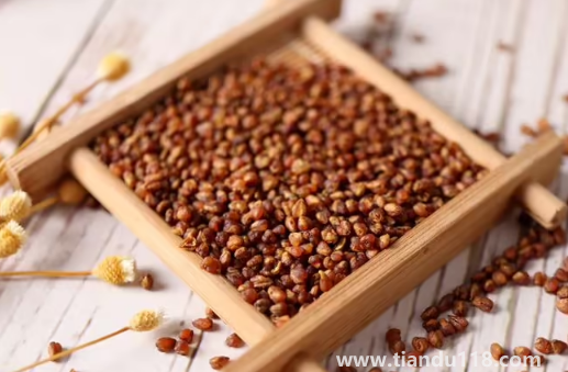 苦蕎麥怎么吃好吃又營養(yǎng)3