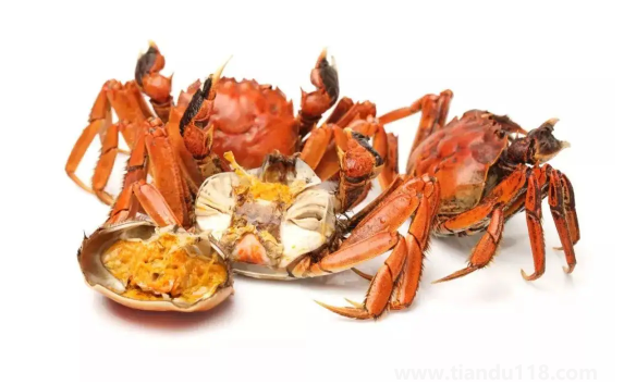 螃蟹能用空氣炸鍋做嗎2