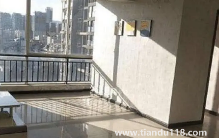 房間里放植物能增強(qiáng)活力陽(yáng)氣嗎2