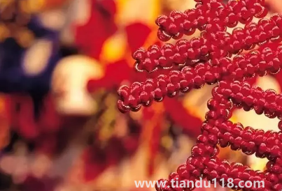 2023年春節(jié)會比2022年春節(jié)冷還是熱3