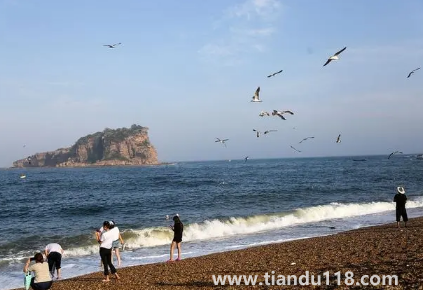 2022年大連國(guó)慶期間會(huì)人山人海嗎（國(guó)慶去大連旅游要玩幾天）