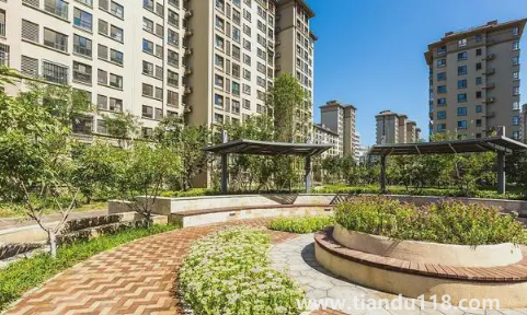 樓房最后一排是無靠山嗎(買房應(yīng)該怎么選位置)(圖1) 樓房最后一排是無靠山嗎1