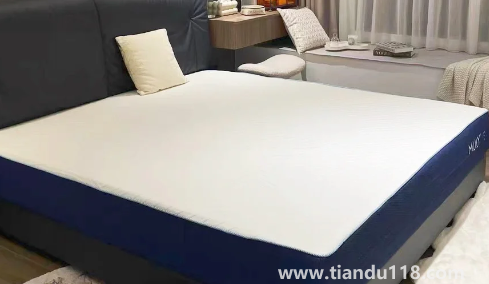 椰棕會(huì)不會(huì)生蟲子1