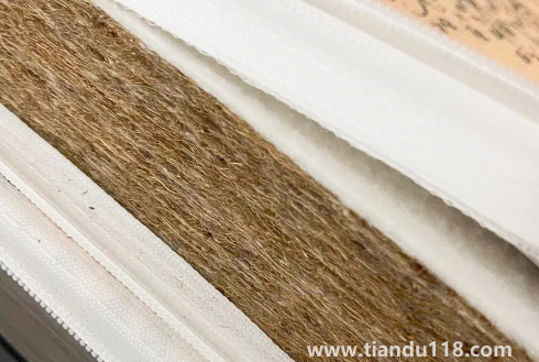 椰棕會(huì)不會(huì)生蟲子2