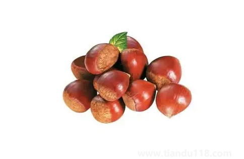 吃板栗可以補腎嗎3