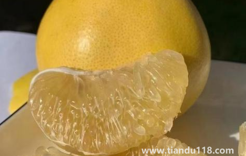 葡萄柚能放冰箱保存嗎2