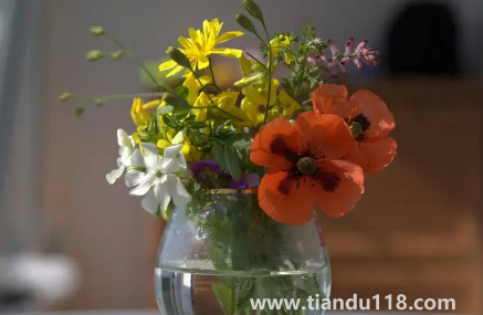 網(wǎng)上買(mǎi)的鮮花要醒花多久1