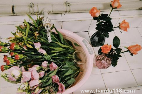 網(wǎng)上買的鮮花先去葉子還是先醒花3